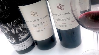 3er Encuentro Profesional Vadevinos