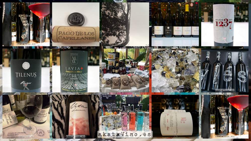 Las 10 Mejores Bodegas y Vinos del III Encuentro Profesional Vadevinos