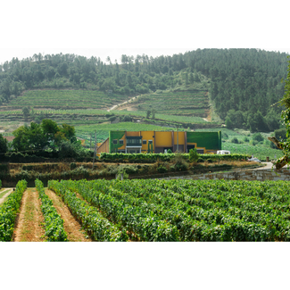 Bodegas GRM Viñedos 2