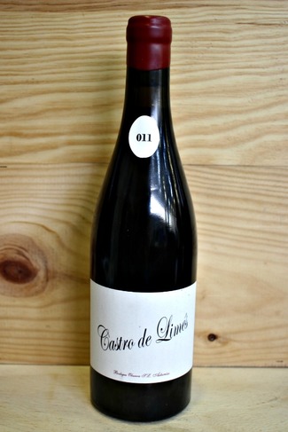 Castro de Limés 2011