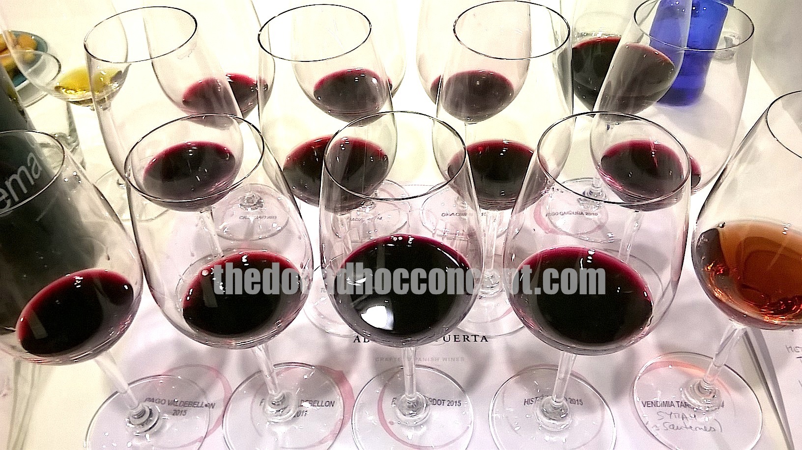 Abadía Retuerta y la visión del Sr. Anocibar. Suelos, variedades y clima. La adaptación del injerto.