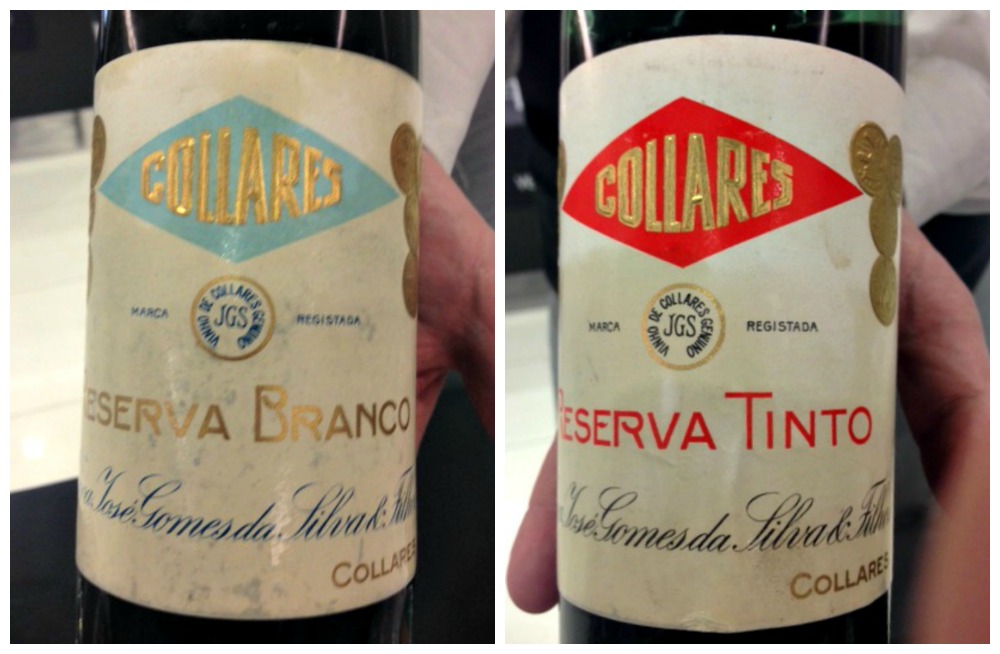 Terras de Portugal en la XV Experiencia Verema Valencia: descubriendo a nuestro vecino