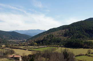 Vista desde la ventana de la habitación