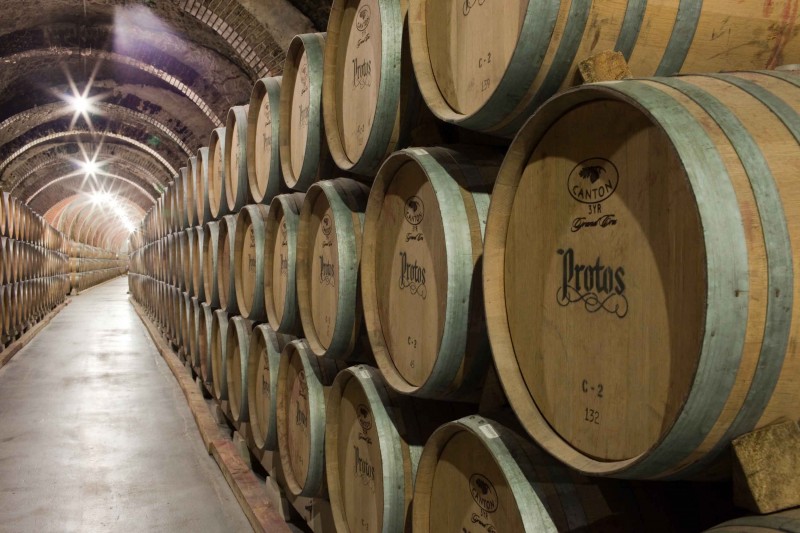 Bodegas Protos ha recibido a más de 180.000 personas desde su inauguración