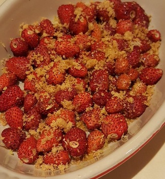Fresitas de Canals, vainilka y crumble. 