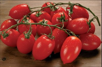 Piennolo