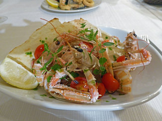 Scampi 