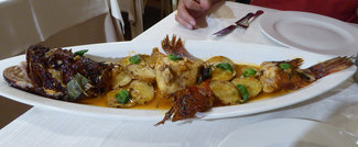 Scorpaena scrofa al forno 