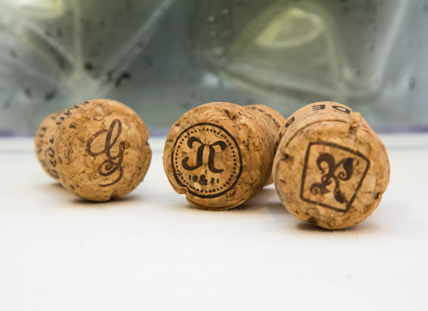 Grandes Cavas Gran Reserva Parte I: cierre espectacular de la XV Experiencia Verema Valencia