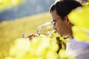 Se lleva el vino blanco de Rioja, ¡ponte de moda!