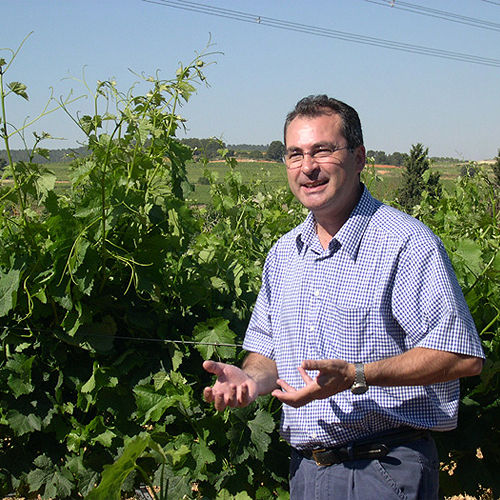 Finca San Blas elabora el “Mejor Vino Dulce del Mundo” según la revista Decanter