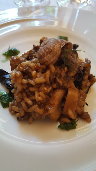 Arroz de montaña