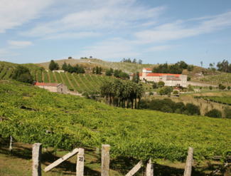 Encuentro de Foreros Verema en Rías Baixas, 15-17 julio de 2016