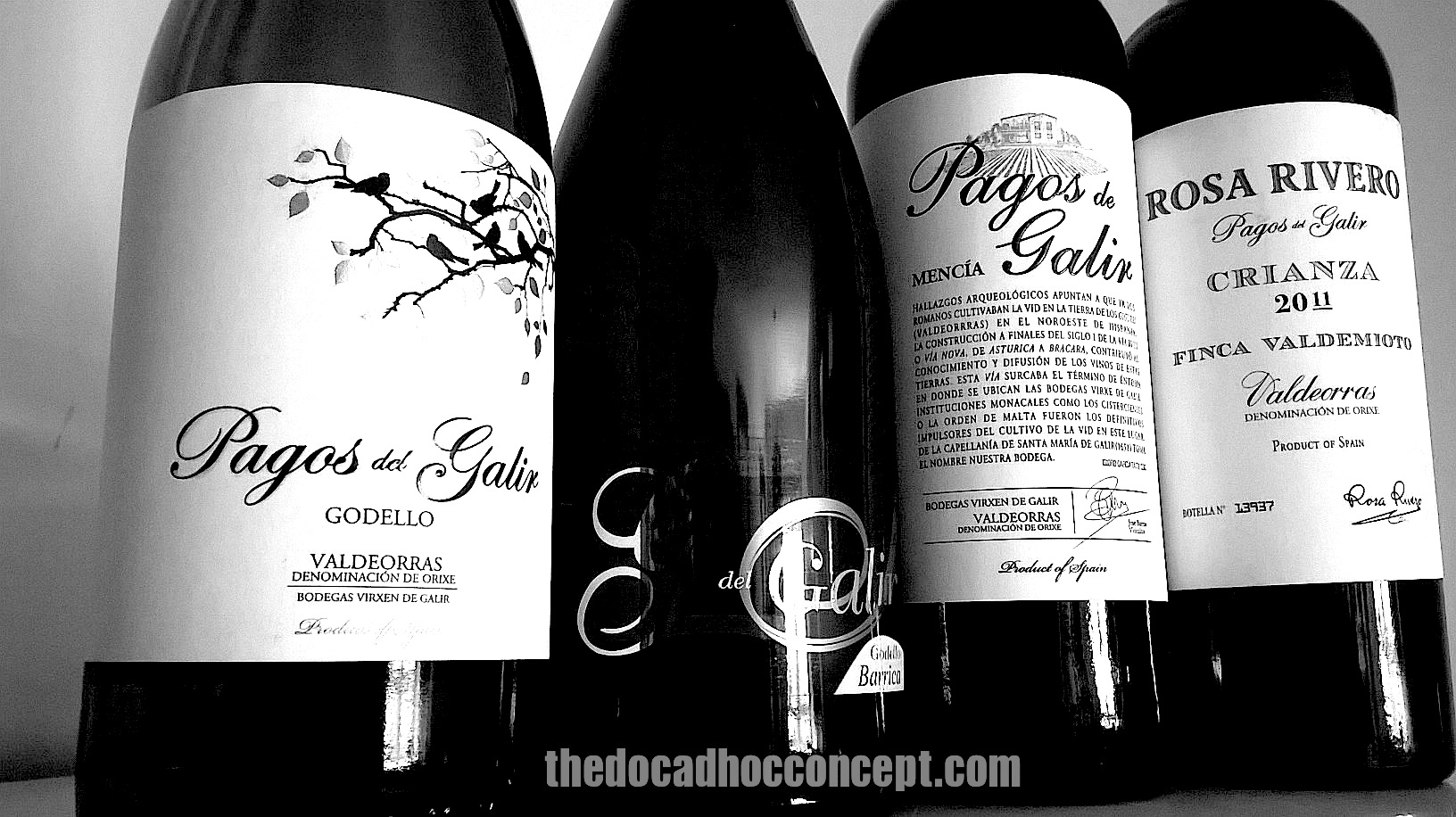 Pagos de Galir y de Valdeorras