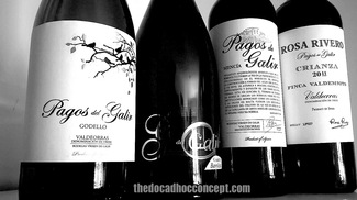 Pagos de Galir y de Valdeorras