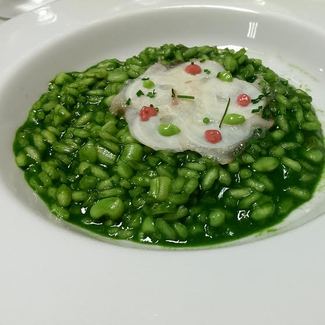 Plancton, del origen de la vida a la vanguardia gastronómica