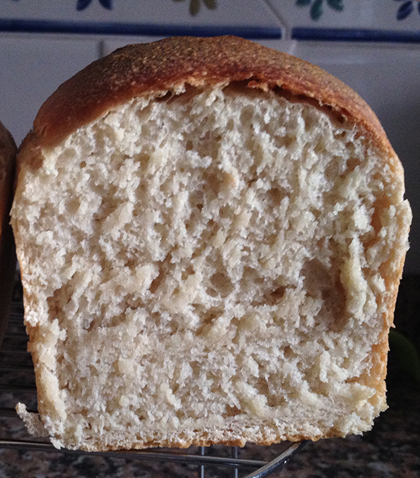 El pan, el yogur y otras cosas de comer: fermentando en casa