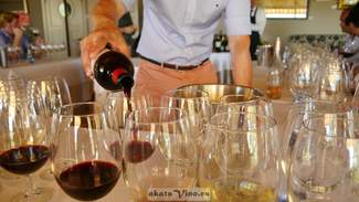 Conde de la Salceda Reserva 2010 (D.O.Ca Rioja) 2010