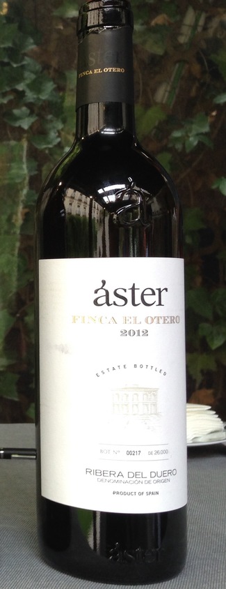 Áster Finca El Otero 2012