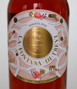 La Fontana di Trevi 2014