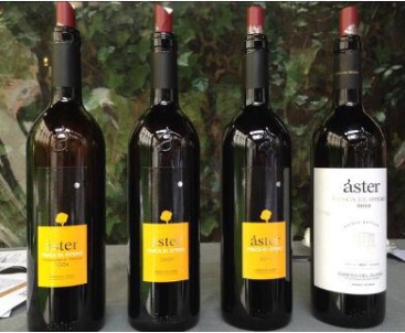 Cata Vertical de Finca el Otero, Bodegas Áster
