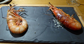 Gambes vermelles del Cap de creus 