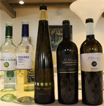 Las bodegas Condes de Albarei y Pazo Baión anfitrionas de 33 prestigiosos foreros de toda España