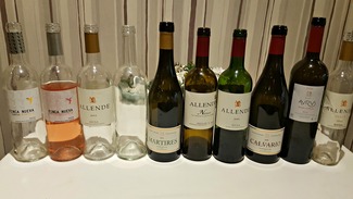 Miguel Ángel de Gregorio: no tan enfant, igual de terrible