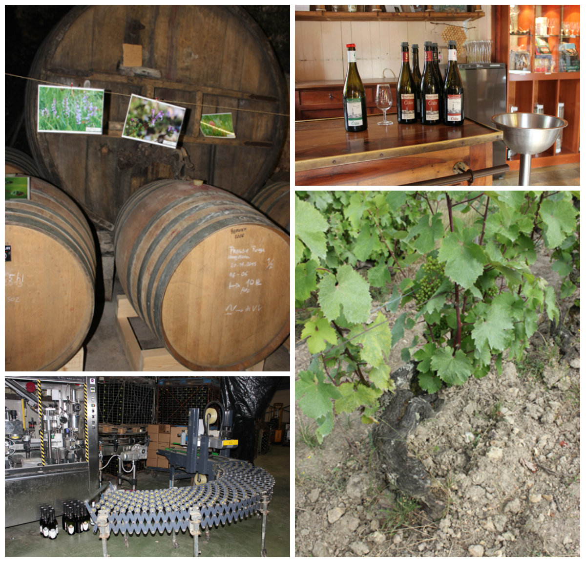 Patrice Colin: libertad, cordialidad e ingeniosidad...