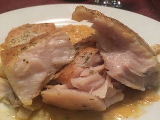 La corvina exquisita