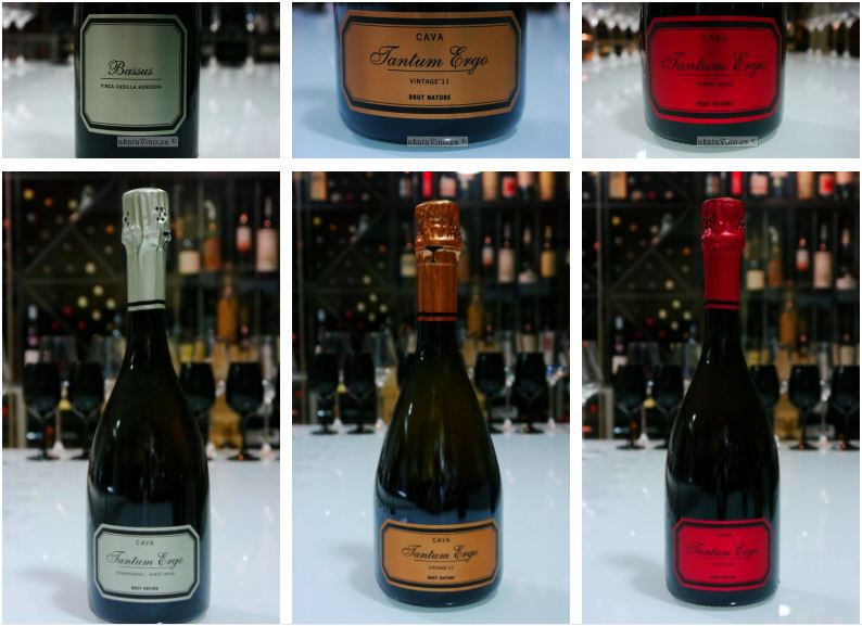 Tantum Ergo cavas de estilo sofisticado 