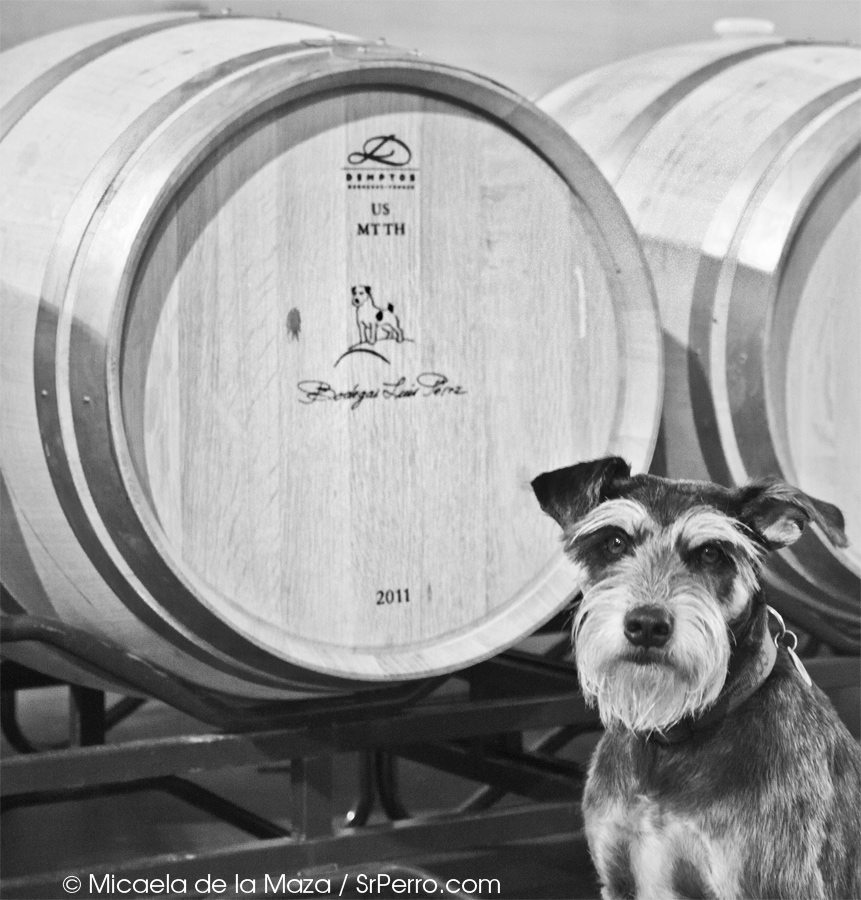 La bodega Vallegarcía celebra su 10º aniversario