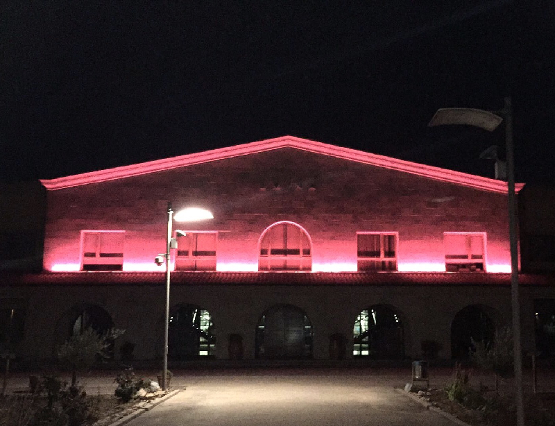 La Bodega Emina Ribera se viste de rosa en la lucha Contra el Cáncer de Mama