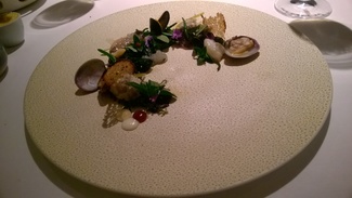 Disposición semicircular