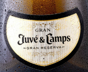 50 primeras vendimias del excepcional Gran Juvé & Camps