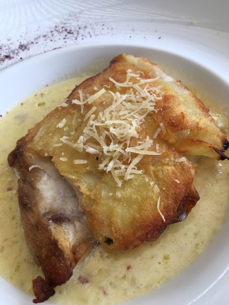 Corvina deliciosa-1