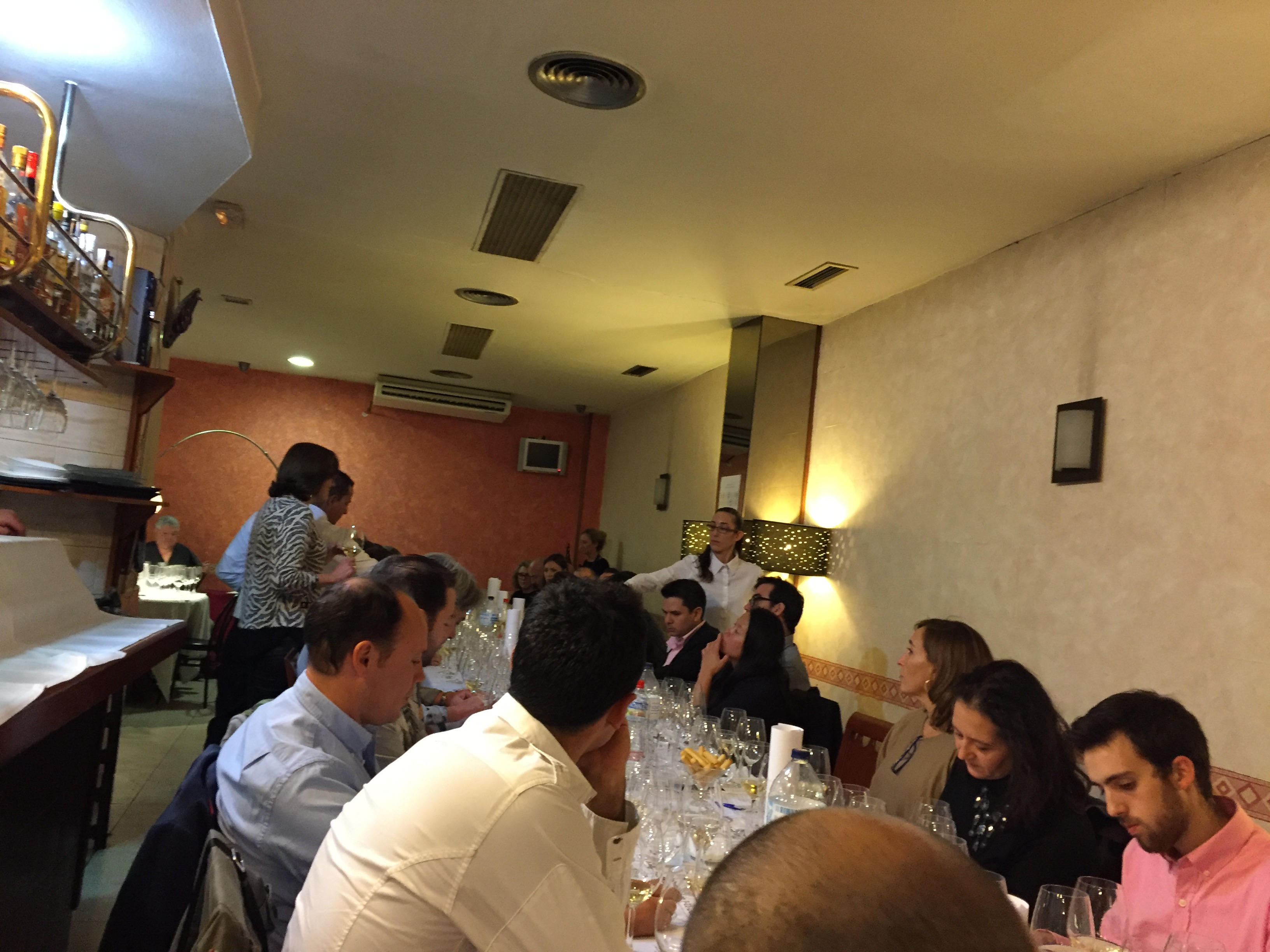 Un paseo por el pasado, el presente y el futuro de Bodegas Protos