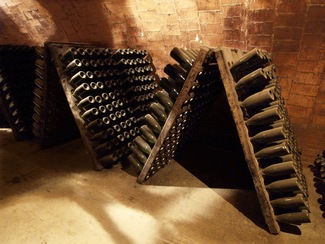 El Otoño en un viñedo biodinámico de Champagne