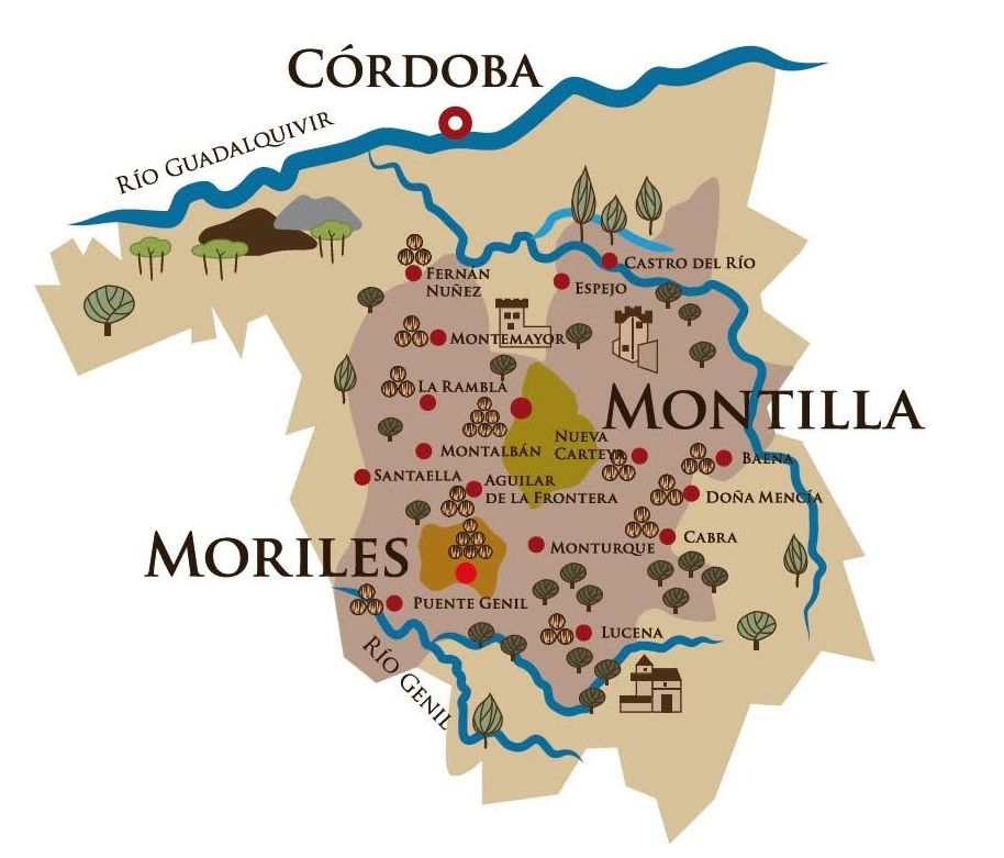 Montilla - Moriles: Historia y cata de grandes Finos y Amontillados por descubrir