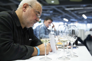 Campo Eliseo: Los Secretos del Verdejo 