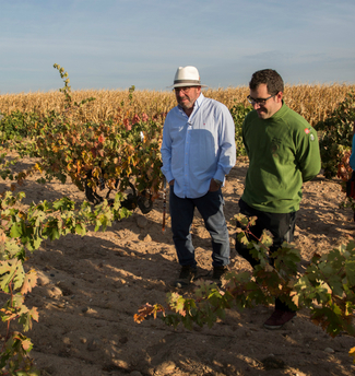 Las Noticias del Vino más leídas del 2016