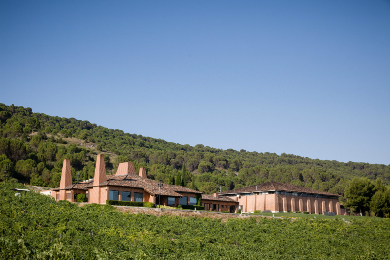 Bodegas viña mayor