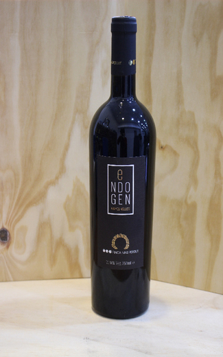 Endógen 2013