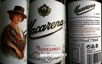 Manzanilla Macarena