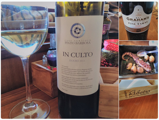 Vinos en Porto