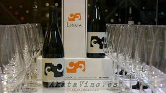 Licinia 2011 94 puntos Guía AkataVino WineXtreme ed. 2017
