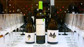 Javier Sanz Verdejo 2014 90 puntos Guía AkataVino WineXtreme.
