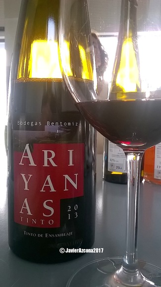Ariyanas Tinto ensamblaje 2013