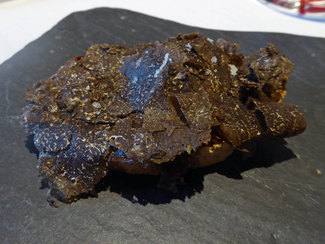 Tostada con trufa Tuber melanosporum