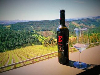 Cata de Txakolís en Bodega Urbana